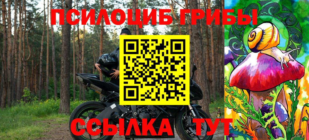 Галлюциногенные грибы прущие грибы  Вход с VPN  Уссурийск 